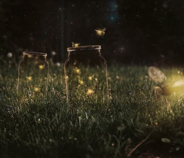How to Create a Glowing Fireflies Photo Manipulation in Adobe Photoshop