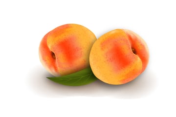 How to Draw Vector Peaches Using Gradient Mesh in Adobe Illustrator