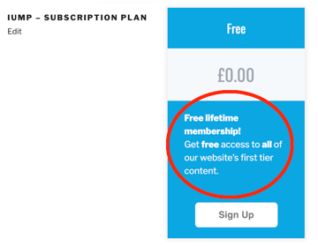 You can provide some sales text which is displayed in the subscription level box