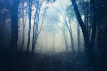 Apply back light particles