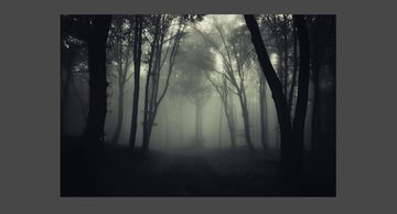 Use an existing photograph