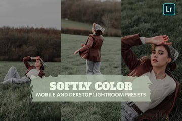 Softly Color Lightroom Presets Dekstop and Mobile