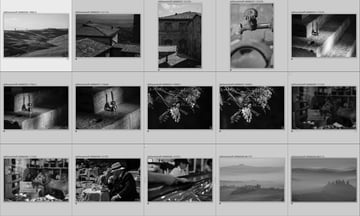 A grid of images converted to black and white