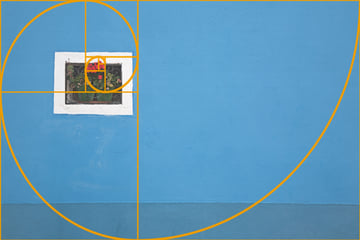 An image showing the the use of the Fibonacci Spiral