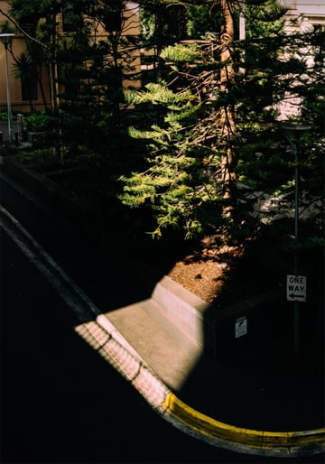 leading lines from shadow