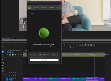 envato premiere pro extension