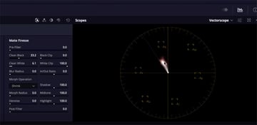 skin tones in vectorscope