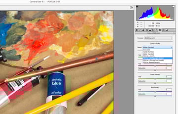 Selecting a profile for an image in Adobe Camera Raw