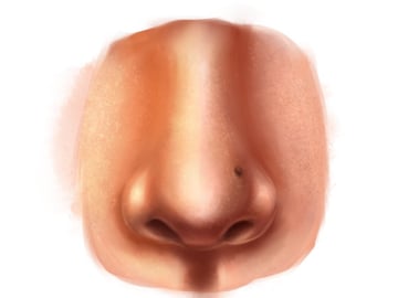 Painting the environmental light highlights