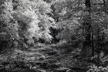 25 Examples of Infrared Photography | Envato Tuts+