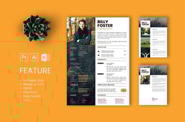Popular Resume from Envato Elements