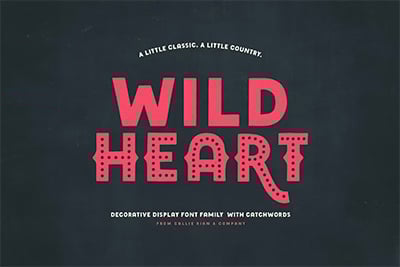 Wild Heart Decorative Display Family
