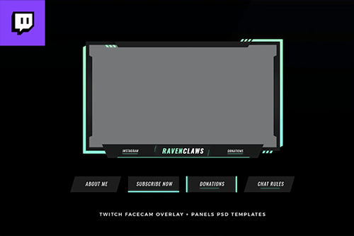twitch panel facecam overlay