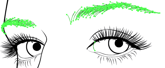 Create the Eyebrows