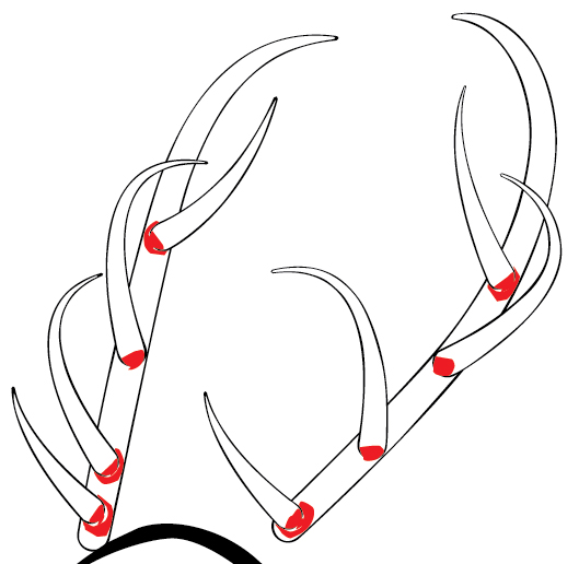Create the Antlers