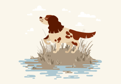 Cómo vectorizar un perro de caza animado en Adobe Illustrator.