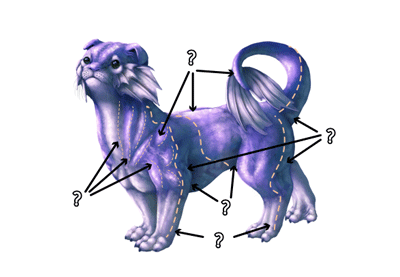 Color Fundamentals: Shading