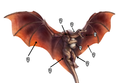 Farbgrundlagen: Erweiterte Färbung 