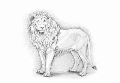 Cómo dibujar con muy poco presupuesto: Dibujo con solo un lápiz