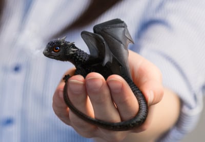 How to Create a Cute Baby Dragon Photo Manipulation in Adobe Photoshop