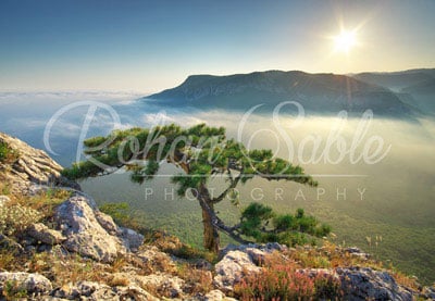 Cómo hacer una marca de agua en Photoshop