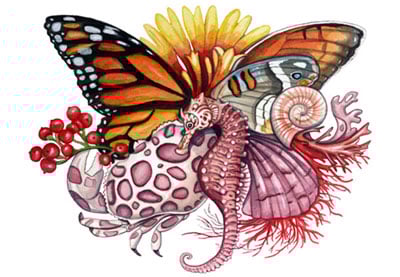 To the Point: Interview With Shane Koehler