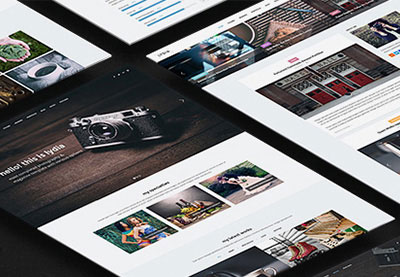 The Graphic Designer's Presentation and Promotion Kit