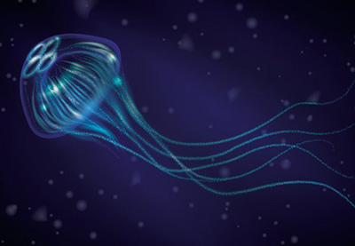 Envato Tuts+ Community Challenge: Created by You, June Edition