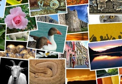 Best Free WordPress Gallery Plugins