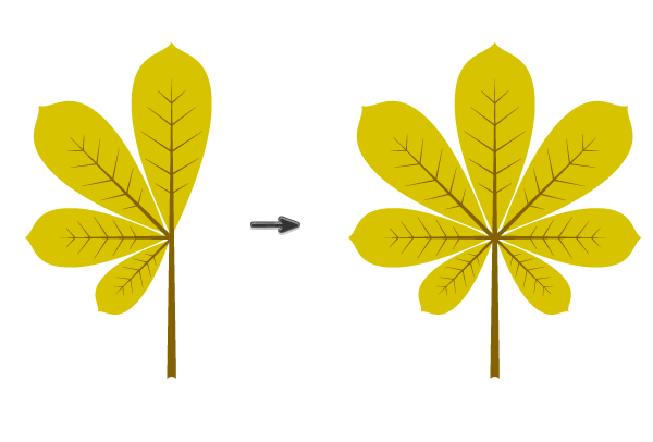 composing the leaf 2