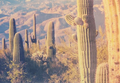 Cómo crear una acción de efecto desvanecido vintage de Photoshop