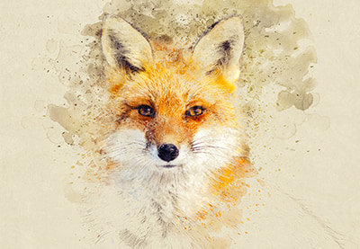 Cara Membuat Foto untuk Watercolor Photoshop Action