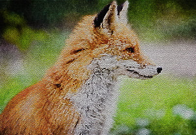 Cómo crear una acción de efecto fotográfico de mosaico en Photoshop