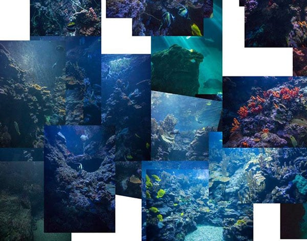 Collage of underwater photos with different color casts