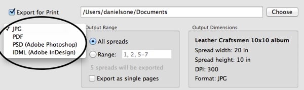 SmartAlbums Exporting Options