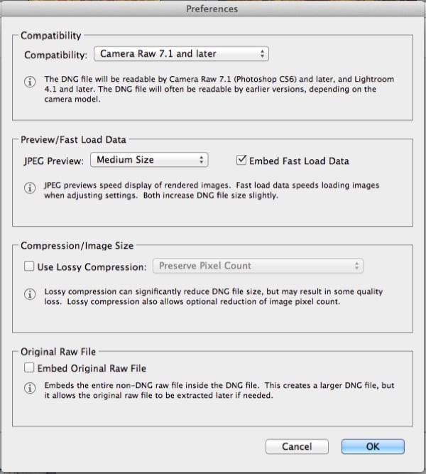 Settings for smaller DNG File in Adobe Camera RAW DNG Converter