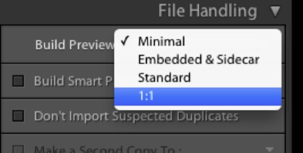 Build Previews Menu in Lightroom 5