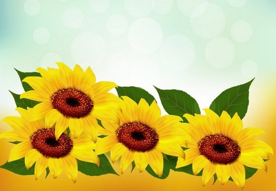 Cómo Dibujar un Girasol con Malla de Degradado en Adobe Illustrator