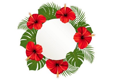 How to Draw a Wreath of Tropical Flowers in Adobe Illustrator