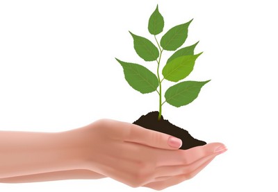 Cómo Vectorizar Manos Sosteniendo una Planta en Adobe Illustrator