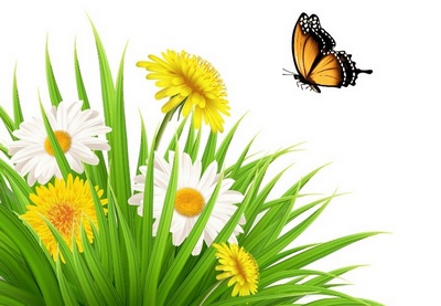How to Draw a Nature Scene With Dandelions and a Butterfly in Adobe Illustrator