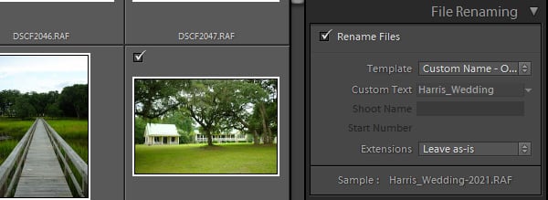 Lightroom import dialog