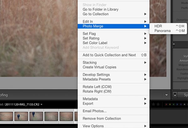 Photo Merge Panorama