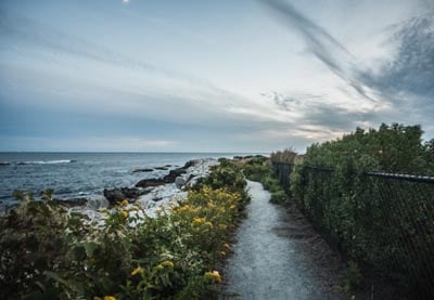 How to Build a Photo Library That Works With Any Application