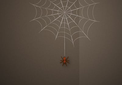 Cómo crear una ilustración sencilla de una telaraña en Adobe Illustrator