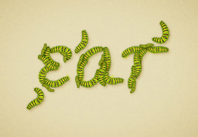 Cómo Crear un Detallado Efecto de Texto de Orugas en Adobe Illustrator