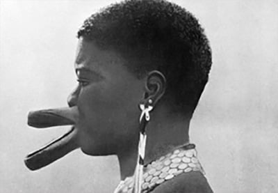 Conviértete en un mejor diseñador explorando la belleza universal: Mito vs. Realidad