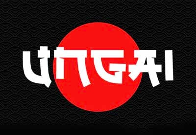 29 beste japanische Schriftarten (Kalligrafie, Tattoo und mehr!)