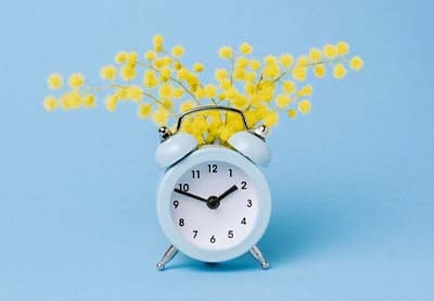 How to Edit Video Using the Timeline in Premiere Pro