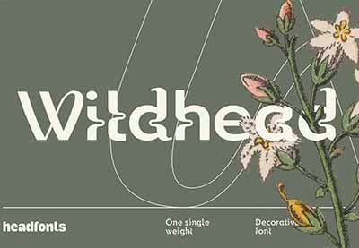 What Is a Display Font?